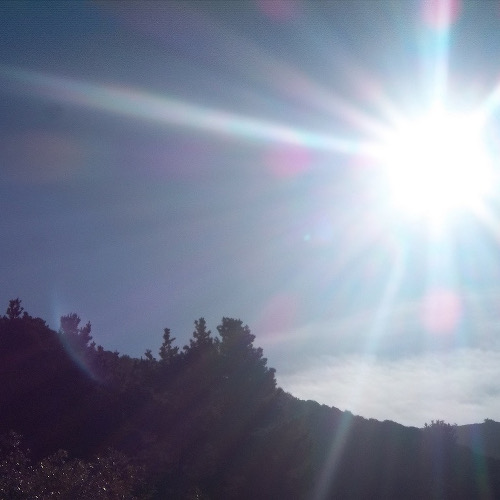 8 Ways to Prepare Yourself for the Inevitability of Spring Paste Magazine